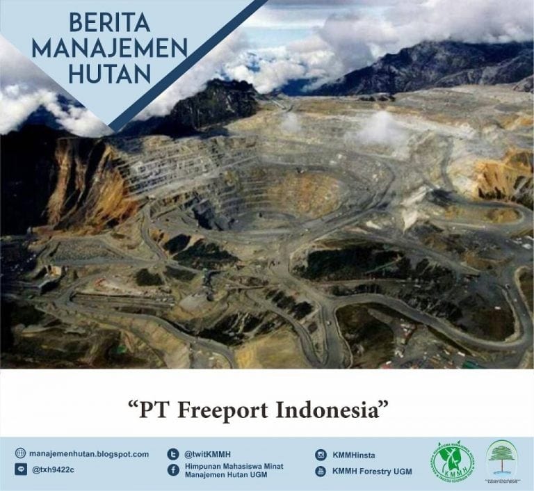 Berita Manajemen Hutan : Ketika Freeport Sepakat Divestasi 51% Saham, Bagaimana Soal Lingkungan Dan Orang Papua?