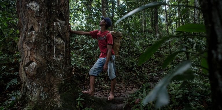 [MH PEDIA] KEHUTANAN SOSIAL