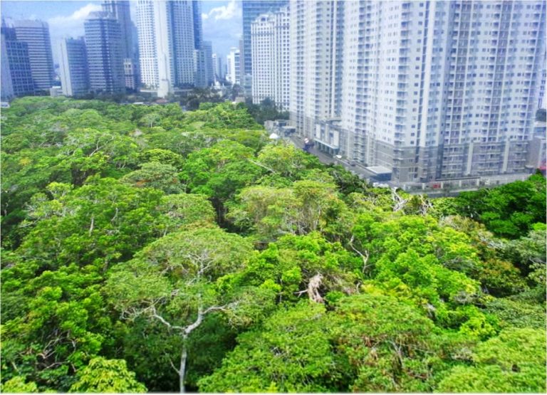 Hutan Kota Sebagai Ruang Terbuka Hijau