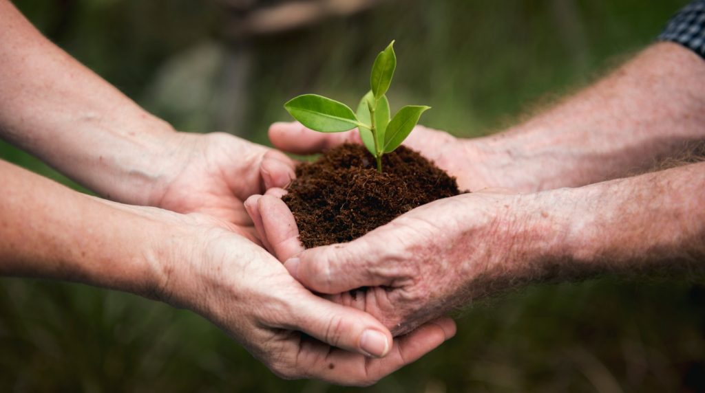 Sekilas Tentang Jejak Karbon (carbon Footprint) – Keluarga Mahasiswa ...