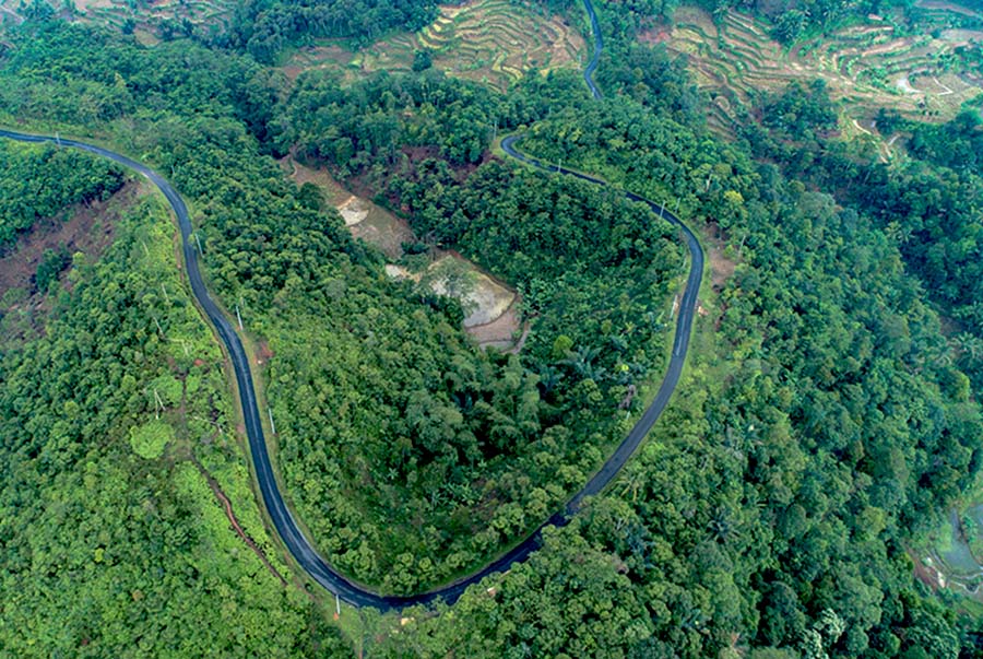 Jejak Perjalanan Hutan Jawa – Keluarga Mahasiswa Manajemen Hutan